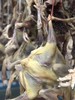 年货首选，天目湖咸草鸡 商品缩略图5