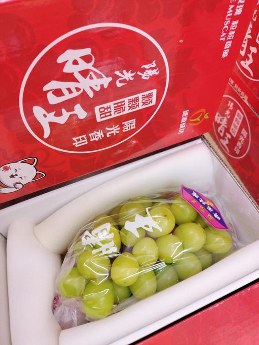 红箱礼盒晴王（拼团） 商品图2