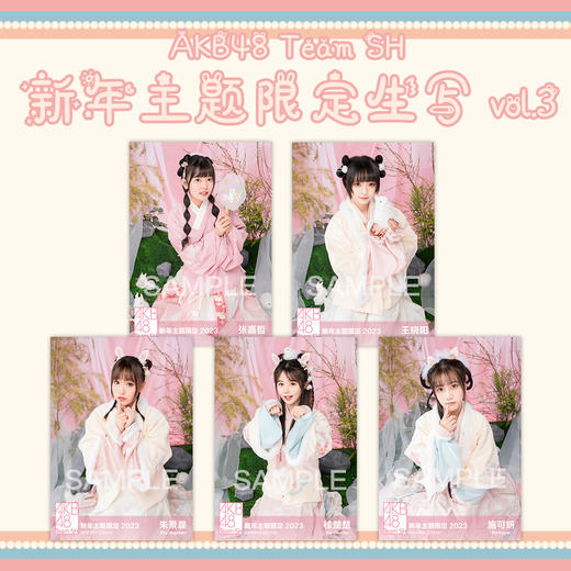 AKB48 Team SH 新年主题生写vol.3 商品图0