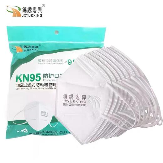 锦绣粤兴9500KN95五层过滤口罩防粉尘装修工业防护面罩防飞沫10个/袋 商品图3
