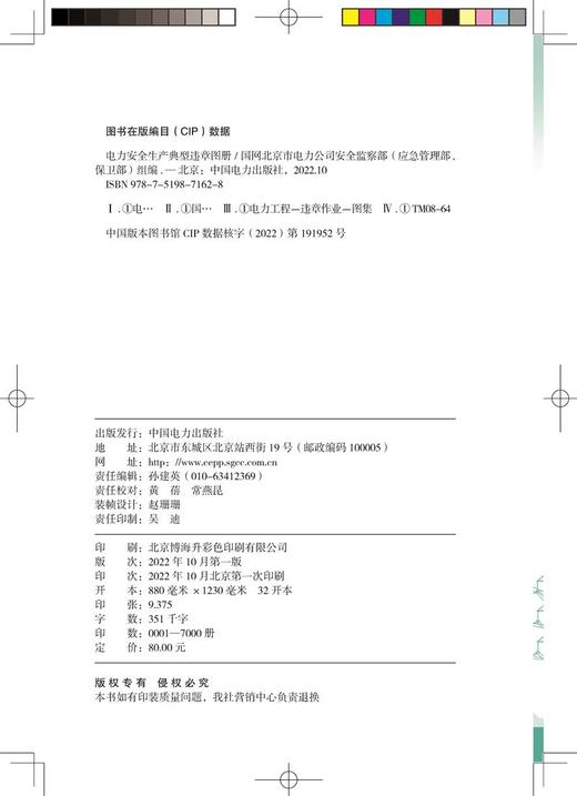 电力安全生产典型违章图册 商品图3