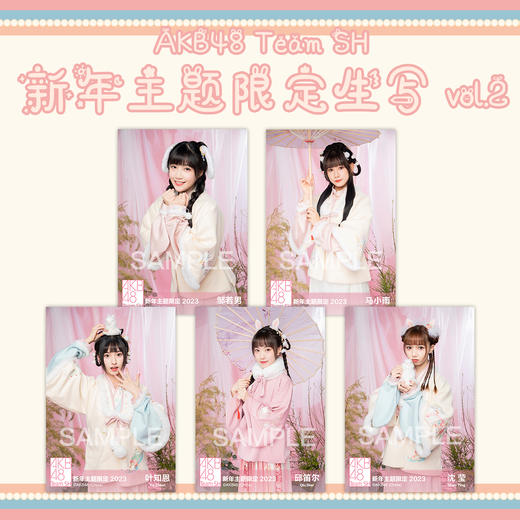 AKB48 Team SH 新年主题生写vol.2 商品图0