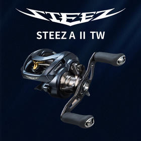 23新款日本DAIWA达亿瓦史帝兹steez a 2 TW水滴轮远投微物A II