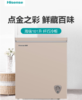 海信冰柜BD/BC-101F1/HC 101升冷藏冷冻转换冰柜 小型迷你冷柜 商品缩略图0