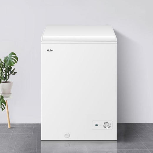 【海尔BC BD-100GH】海尔（Haier）冰柜家用小型一级能效卧式单温冷柜商用保鲜冷藏冷冻转换BC BD-100GH 商品图0