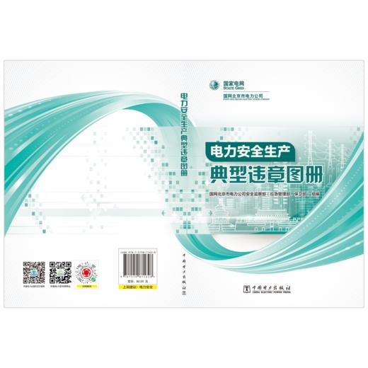 电力安全生产典型违章图册 商品图2