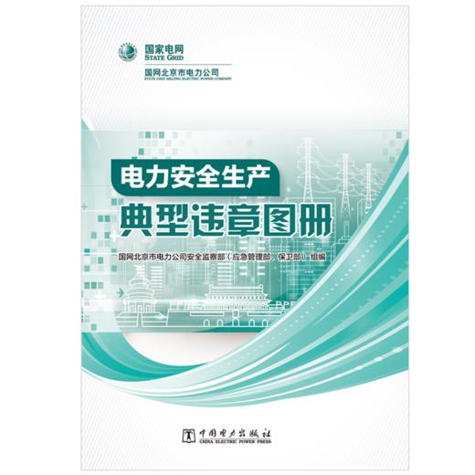电力安全生产典型违章图册 商品图1