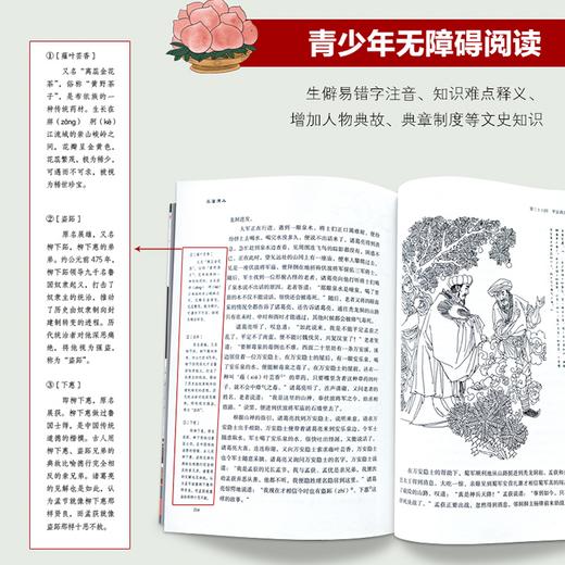 《简明故事版四大名著》有声伴读全4册，康辉、朱广权等央广主持人领读，带着孩子轻松读四大名著，赠思维导图 商品图4