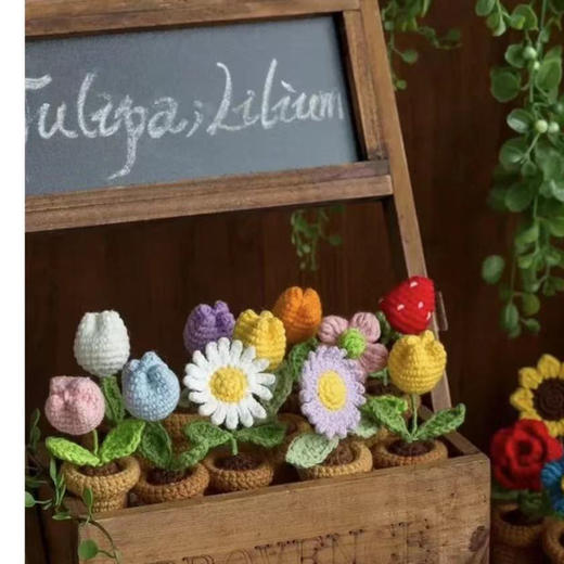 梓艺兴手工#原创编织小盆栽 商品图0