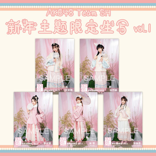 AKB48 Team SH 新年主题生写vol.1 商品图0