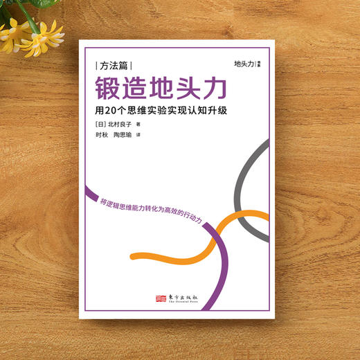 锻造地头力：用20个思维实验实现认知升级【锻造地头力书系·方法篇】 商品图2