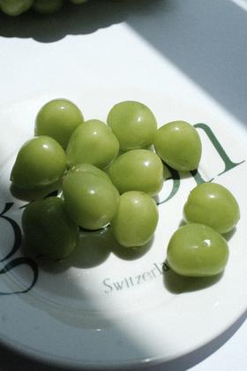 吃了那么多阳光玫瑰，你真的了解它吗？