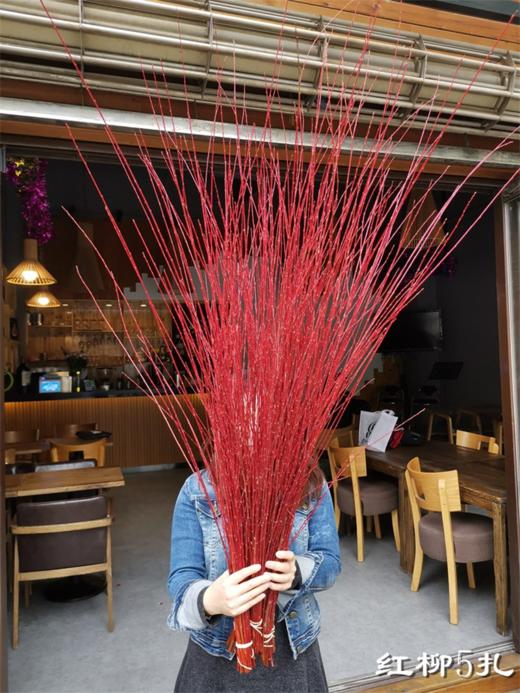 伊朗进口红瑞木红柳鲜切枝 商品图5