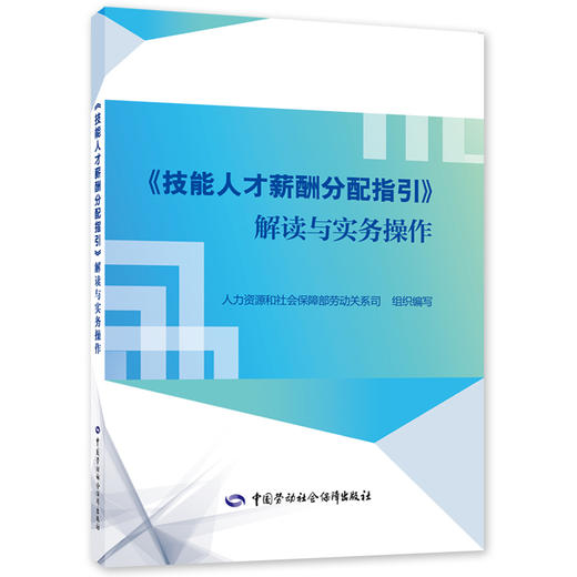 《技能人才薪酬分配指引》解读与实务操作 商品图0