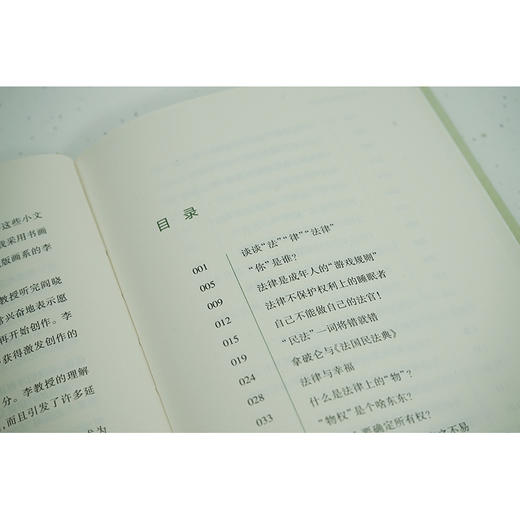 话里画外民法典	吕忠梅著 商品图4