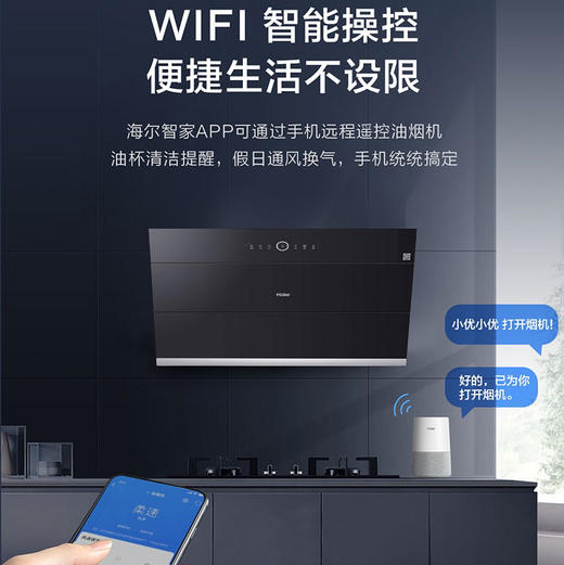 海尔（Haier）烟机CXW-258-C2908U1 商品图9