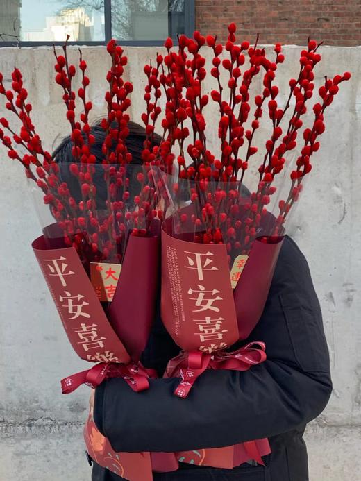 【周四秒杀】新年银柳20枝39.8元 商品图0