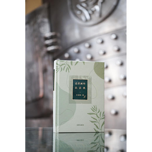 话里画外民法典	吕忠梅著 商品图1