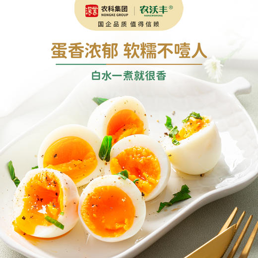 【扶贫】螺旋藻营养鸡蛋 商品图4