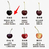 智利Kordia科迪亚黑车🍒—新鲜，硬、脆、甜、浓郁 商品缩略图12