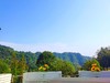 【雅安碧峰峡-368号院】2房/4房院子，山中观景，碧峰峡景区、儿童游玩滑滑梯房、采茶、露营BMST 商品缩略图3