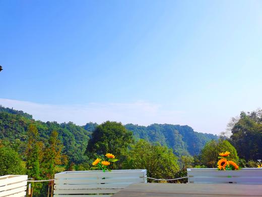 【雅安碧峰峡-368号院】2房/4房院子，山中观景，碧峰峡景区、儿童游玩滑滑梯房、采茶、露营BMST 商品图3