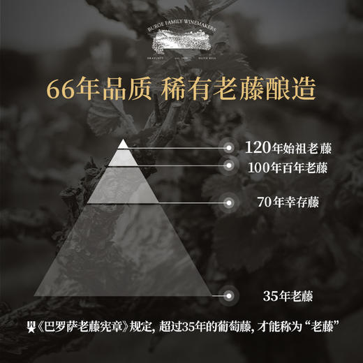 Burge Family 堡歌家族 金牌老藤设拉子干红兔年生肖酒双支礼盒 商品图7