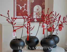 新年冬青盆栽（含花盆）