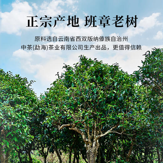 魏氏茶班章老树（黄印） 云南普洱茶 357g/饼 商品图1