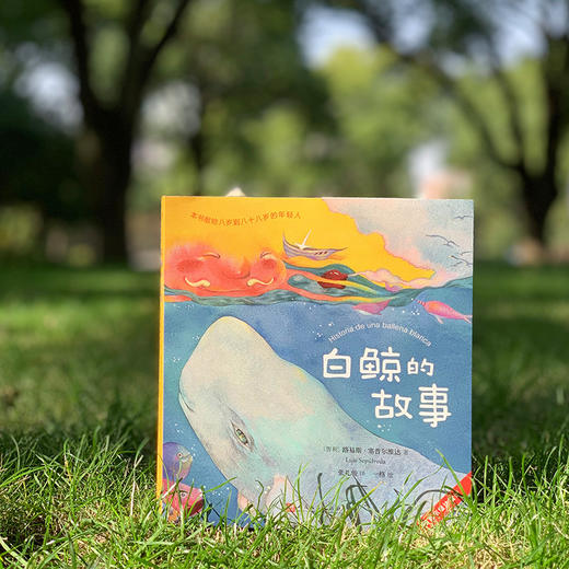 塞普尔维达童话：白鲸的故事 商品图3
