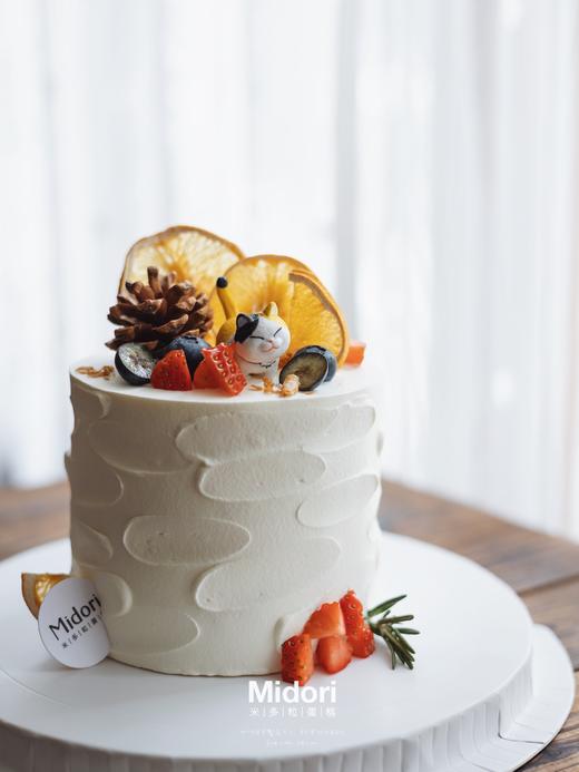 森系小猫咪 | 动物系 商品图2