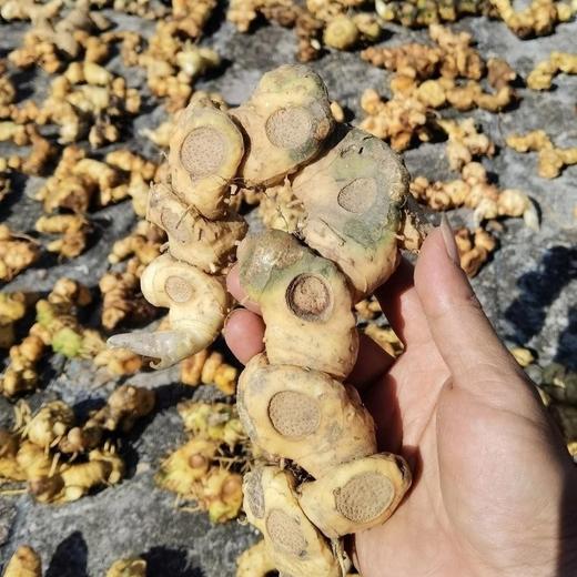 野生九制黄精 | 九蒸九晒古法 | 精选黄精 滋味丰富 “仙人余粮” | 合作生产 * Wild Nine-Processed Polygonatum 商品图8