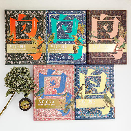 鸟的王国：欧洲雕版艺术中的鸟类图谱 1-5（共5册） 商品图1