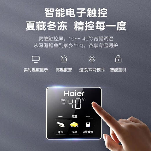 海尔（Haier）冰柜家用小型冷藏冷冻保鲜柜 -40°超低温小冰柜卧式商用冷柜 丨-40度顶配丨星蕴银丨BC/BD-100GHEPG 商品图1