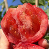 特惠活动『攀枝花露天沙瓤番茄』自有番茄园，沙瓤细腻，果肉肥厚 商品缩略图5