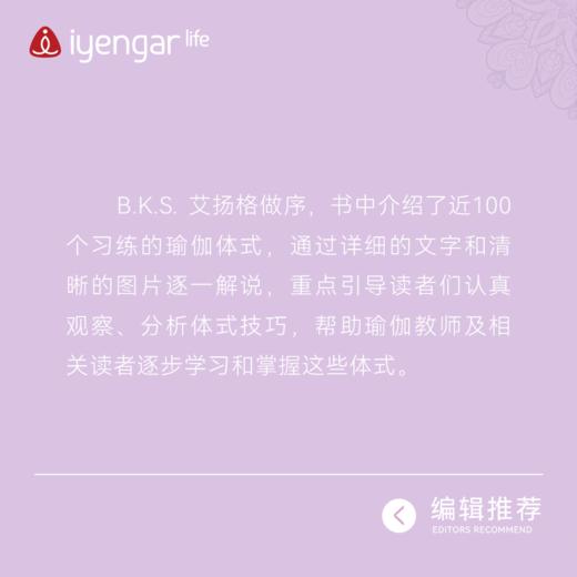 B1187艾扬格瑜伽 癌症问题辅助习练 商品图3