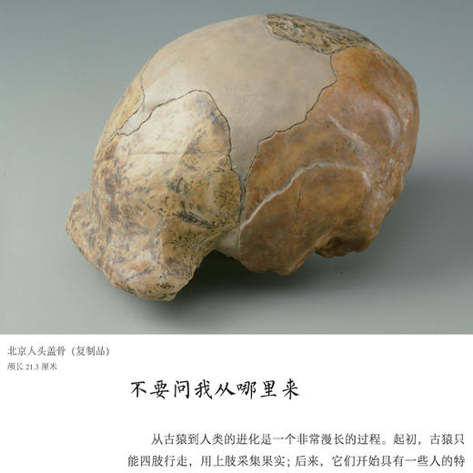 《博物馆里的中国历史故事》（全4册） 商品图5