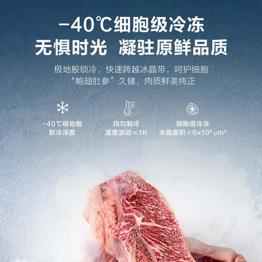 海尔（Haier）冰柜家用小型冷藏冷冻保鲜柜 -40°超低温小冰柜卧式商用冷柜 丨-40度顶配丨星蕴银丨BC/BD-100GHEPG 商品图4