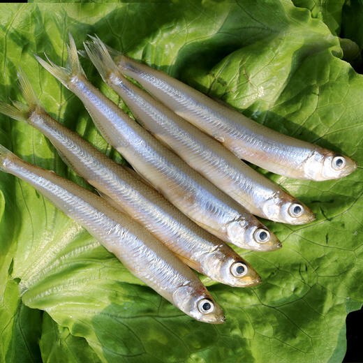 【保真密云水库鱼 假一赔十】密农人家  密云水库小公鱼 急冻锁鲜 现捞池沼公鱼 清洗后油炸 鲜香酥脆  小公鱼  1斤/2斤/3斤 商品图3