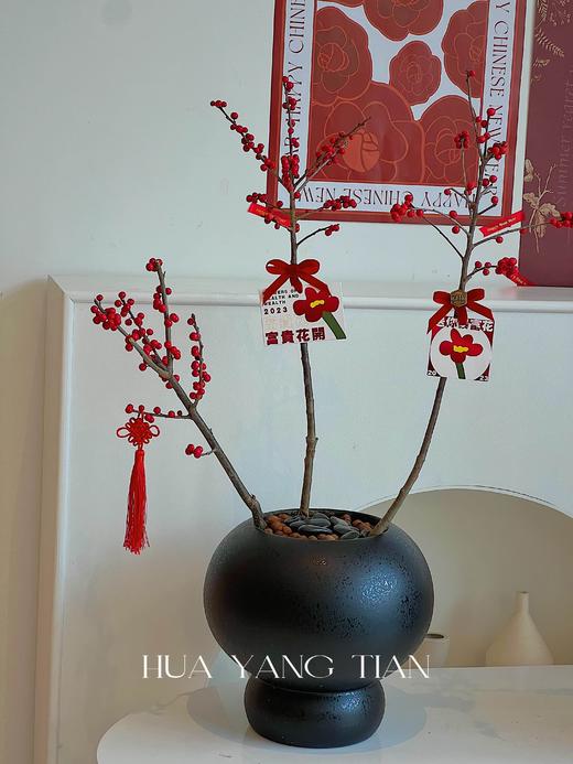 新年冬青盆栽（含花盆） 商品图9