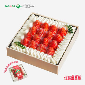 【仅限深圳购买，百果园&36cake联名限定】红芭蕾草莓小方盒，可选1.5磅