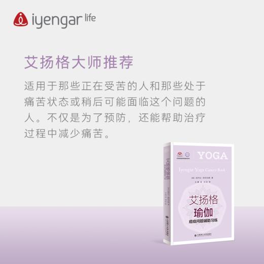 B1187艾扬格瑜伽 癌症问题辅助习练 商品图4
