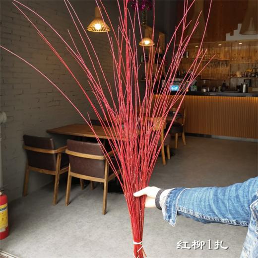 伊朗进口红瑞木红柳鲜切枝 商品图8