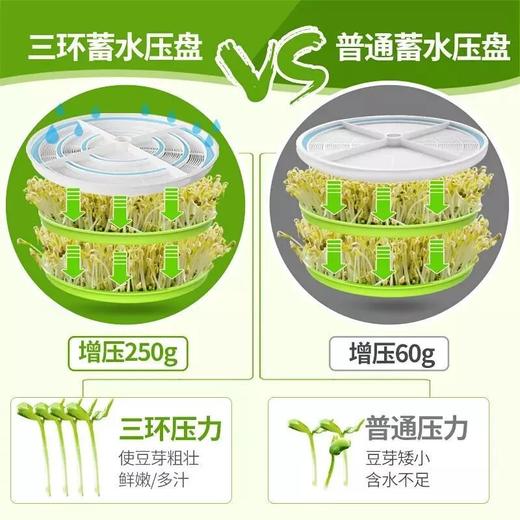 自动发豆芽机家用全自动智能发豆牙菜桶 商品图3