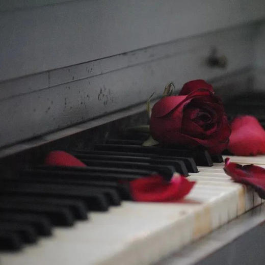 【诗歌即兴伴奏系统课程】零基础到高级班专业老师团队一对一指导，系统课程，不限年龄，不限基础 商品图3