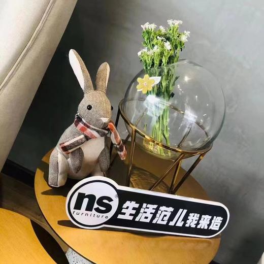 8F NS 布艺动物卡通玩偶摆件 商品图5