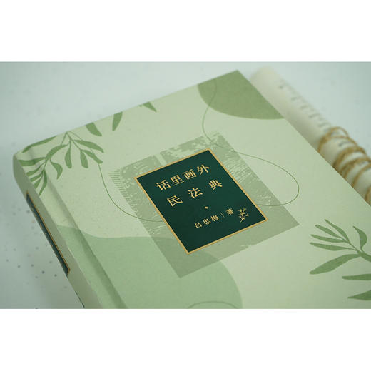 话里画外民法典	吕忠梅著 商品图3