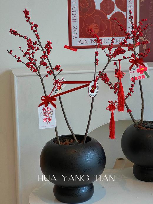 新年冬青盆栽（含花盆） 商品图8