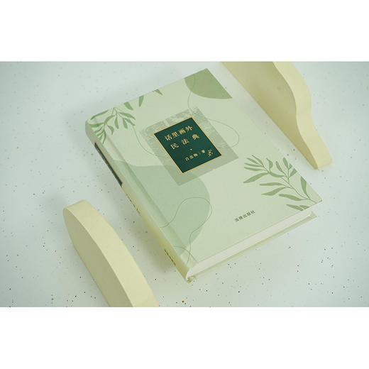 话里画外民法典	吕忠梅著 商品图2