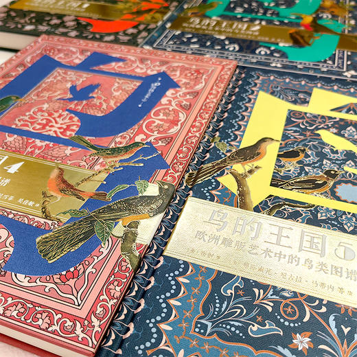 鸟的王国：欧洲雕版艺术中的鸟类图谱 1-5（共5册） 商品图2